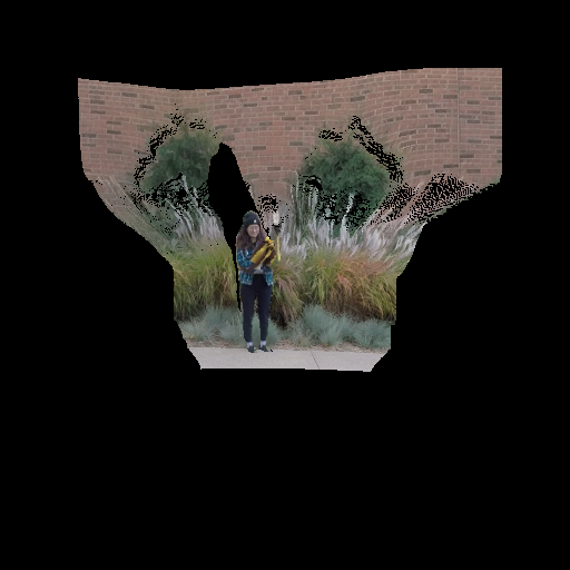 Novel View